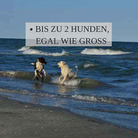 公寓 Haus Krabbe, 10, Naehe Bremerhaven, Fuer 1-2 Personen, 2 Schlafzimmer, Einzelbetten, Zweite Etage, Zentral Gelegen, Bis Zu 2 Hunden Kostenfrei Willkommen